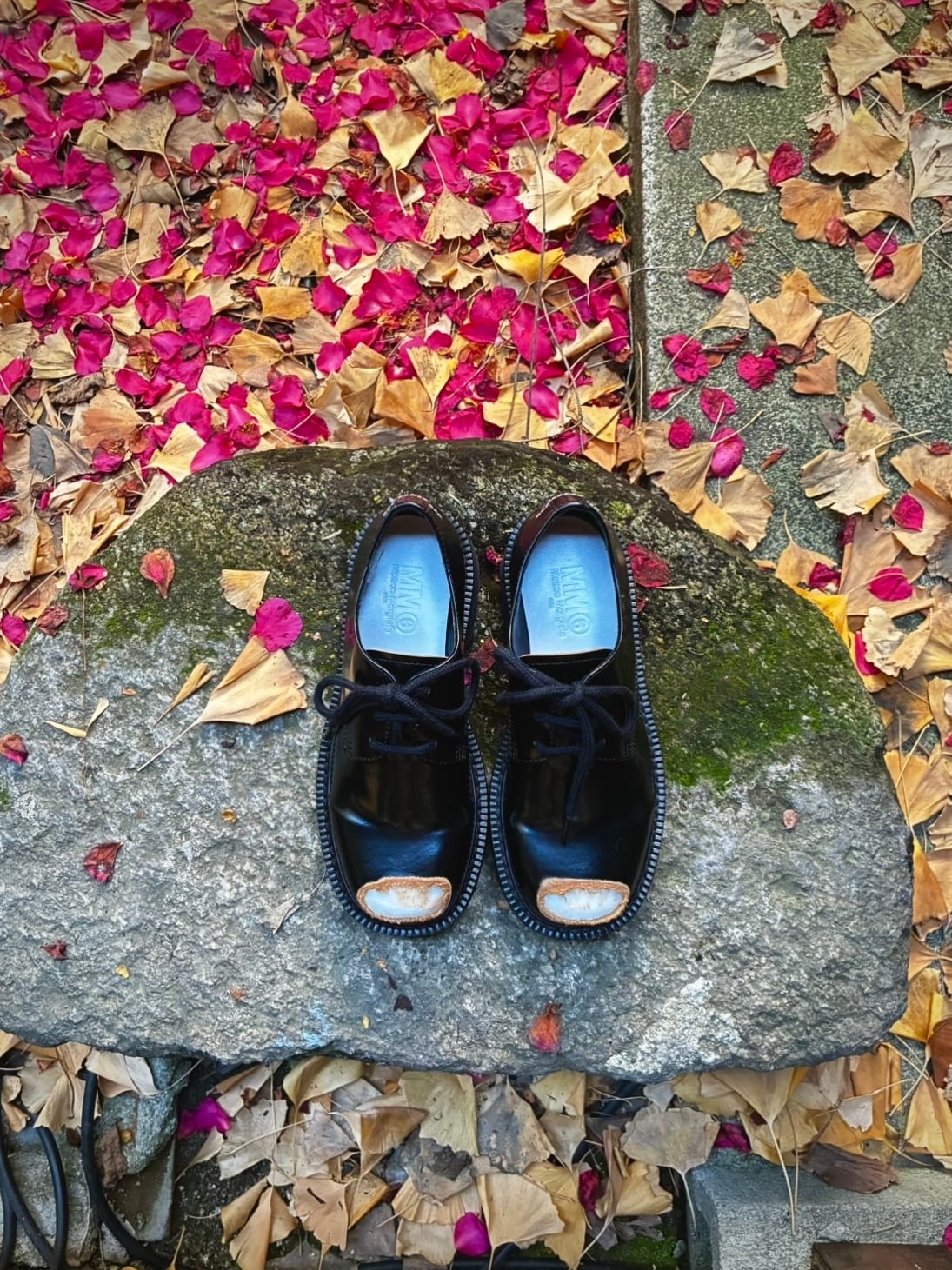 3.1 Phillip Lim」 | タナゴコロータス tanagocolotus