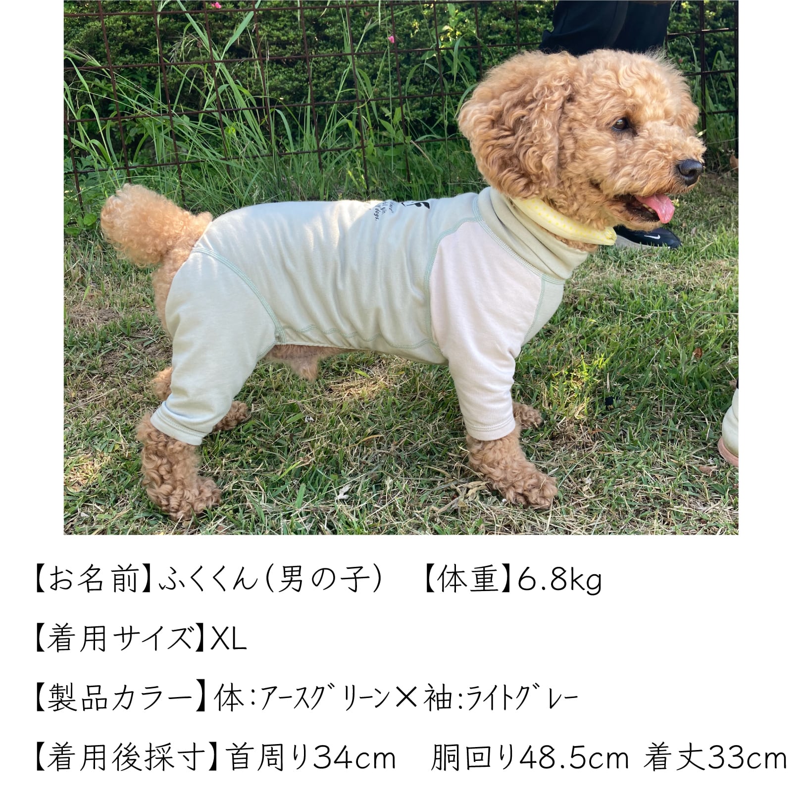 スキンフィット｜トイプードル用｜8size|オーガニックコットン＆抗菌消