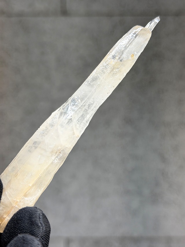 バイカラーカルサイト【ML-0151】パキスタン