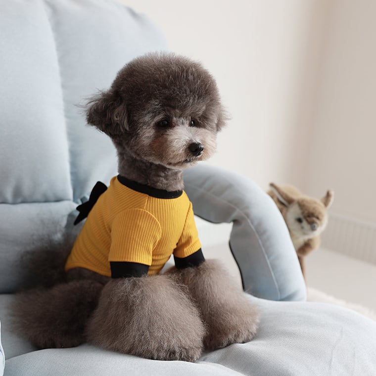 onz ribbon knit t-shirt S ~ XL 4color / 犬服 ニット 可愛い 犬の服 Tシャツ 背中 リボン 重ね着 おしゃれ トップス お揃い ドッグウェア 無地 シンプル 韓国ワンコ服 b54