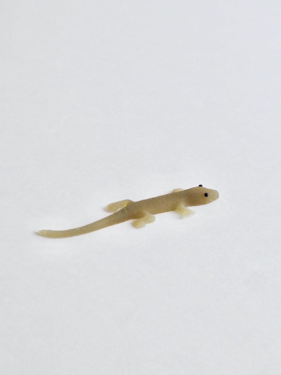 ヤモリのおもちゃ｜Rubber Gecko Toy | Sensitivity and Boldness