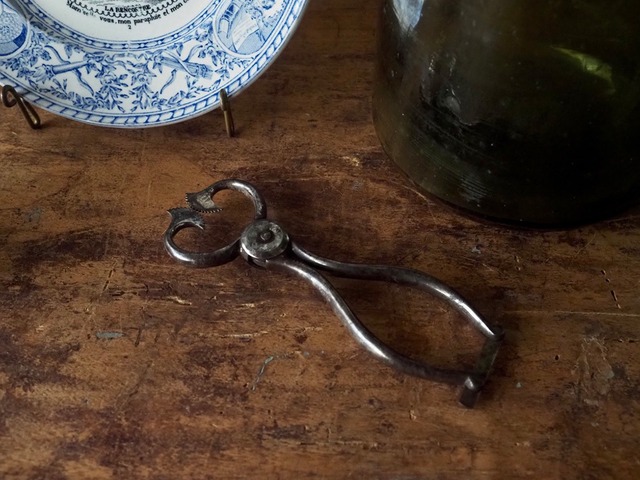Sugar Cutters