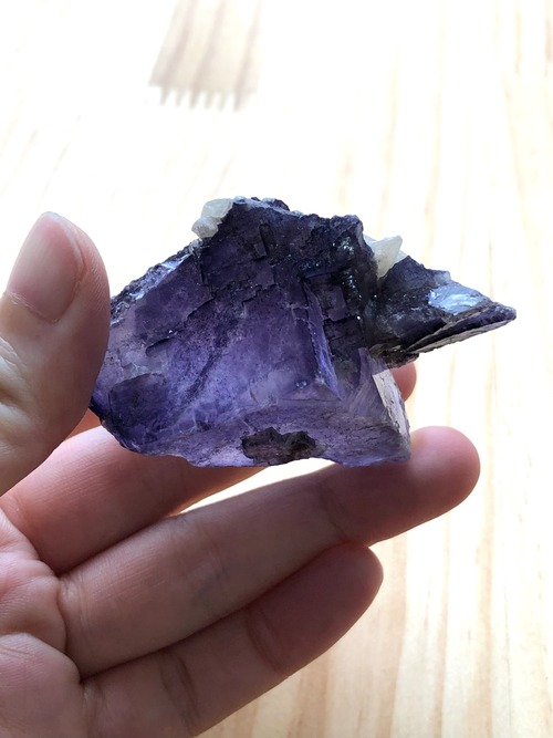 あなたの上半期の「息してきただけであなたは偉い」福袋