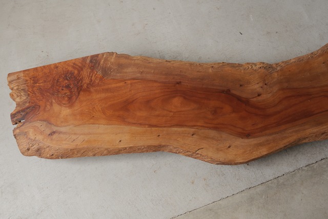 赤樫　Red oak