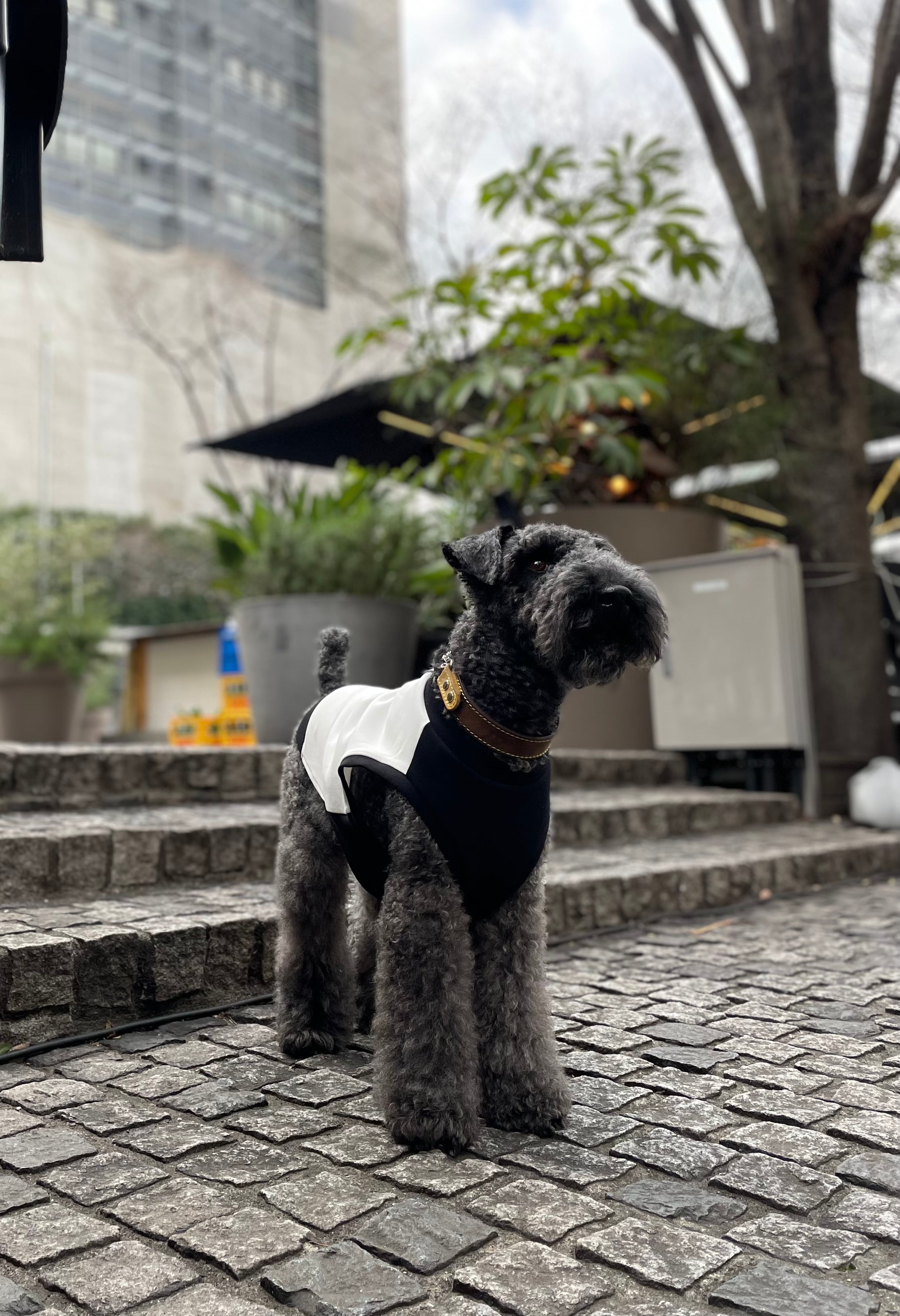 ハーフドット・タンクトップ〈BLACK＆WHITE〉 | n9un