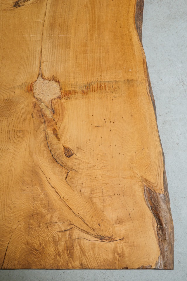 栗 （Chestnut）