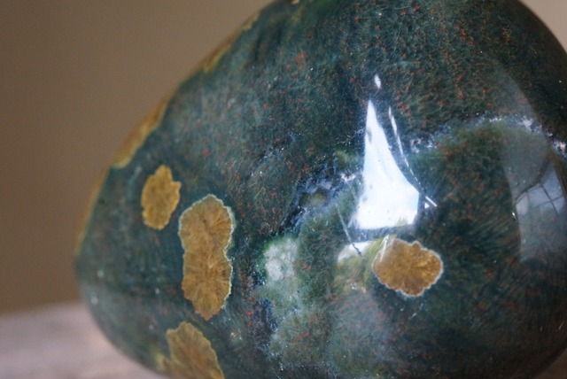 オーシャンジャスパー Ocean Jasper ⑧