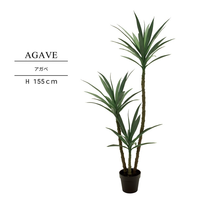アガベ155㎝［人工観葉植物・フェイクグリーンT］