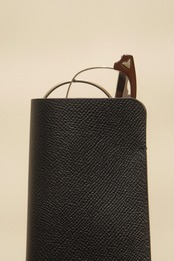 Glasses case