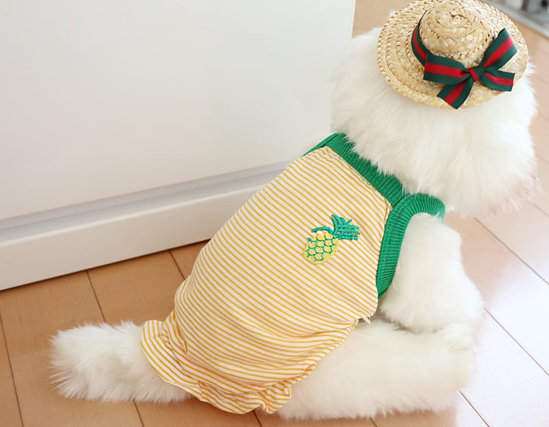 【SALE】フルーツタンクトップ S ~ XL 3color / 犬服 ドッグウェア 犬の服 春夏 ペット洋服 top47