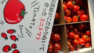 【結-musubu-】（3kg）