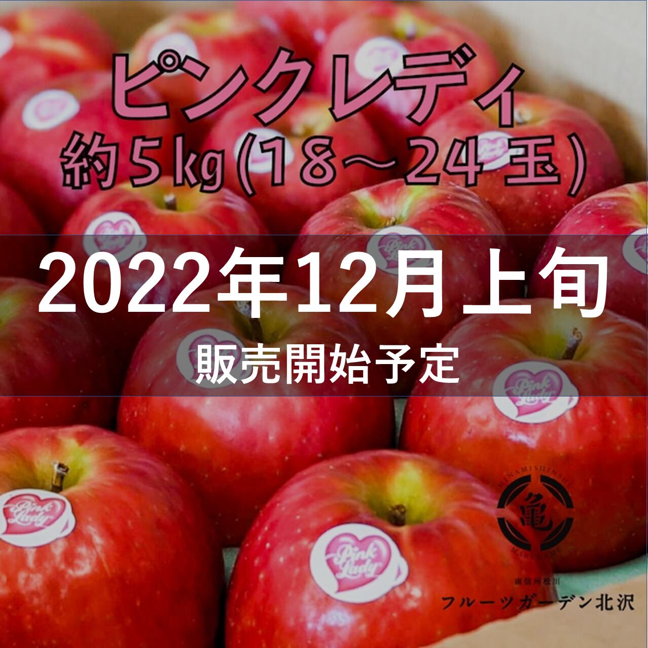希少品種 ピンクレディ小玉 約5 24 28玉入り フルーツガーデン北沢 マルカメ醸造所