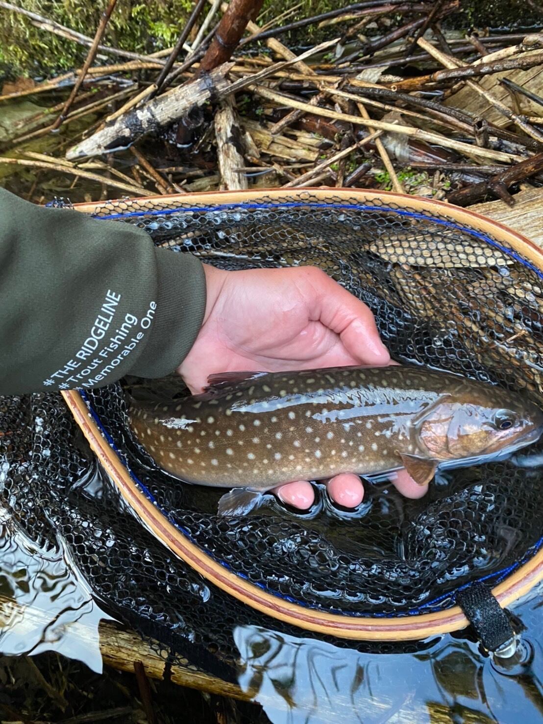 brook スウェット 魚 予約販売】#ロンティー（1st） | THE RIDGELINE