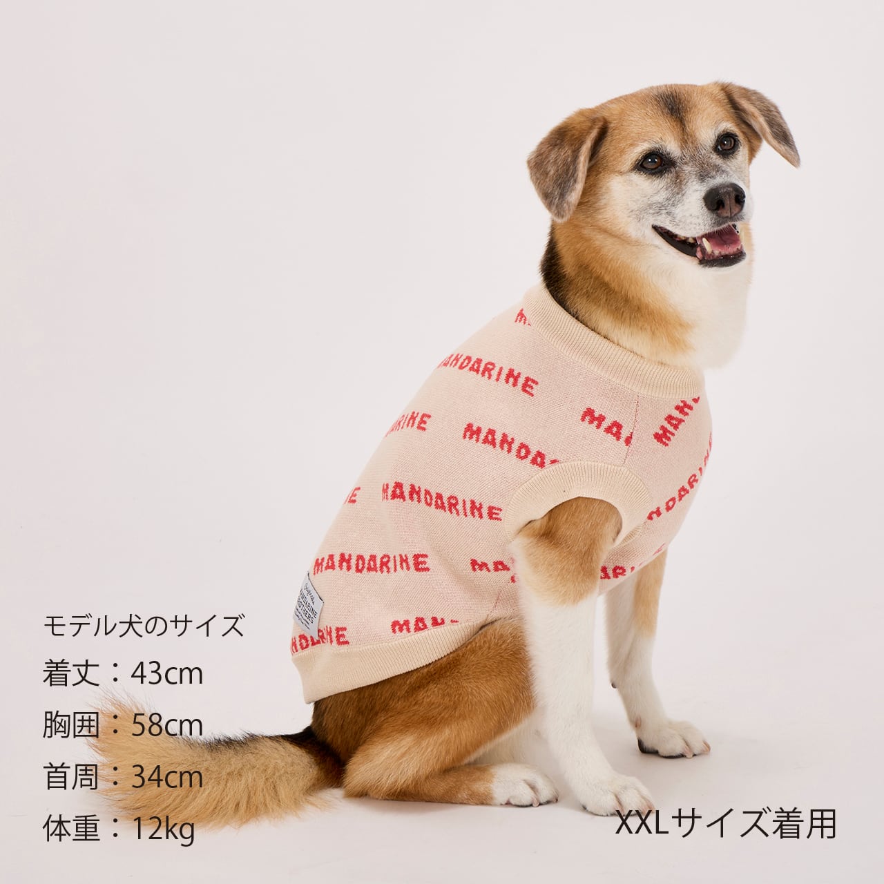 MNDRN LOGO KNIT（XS.S）マンダリンロゴニット | MANDARINE BROTHERS