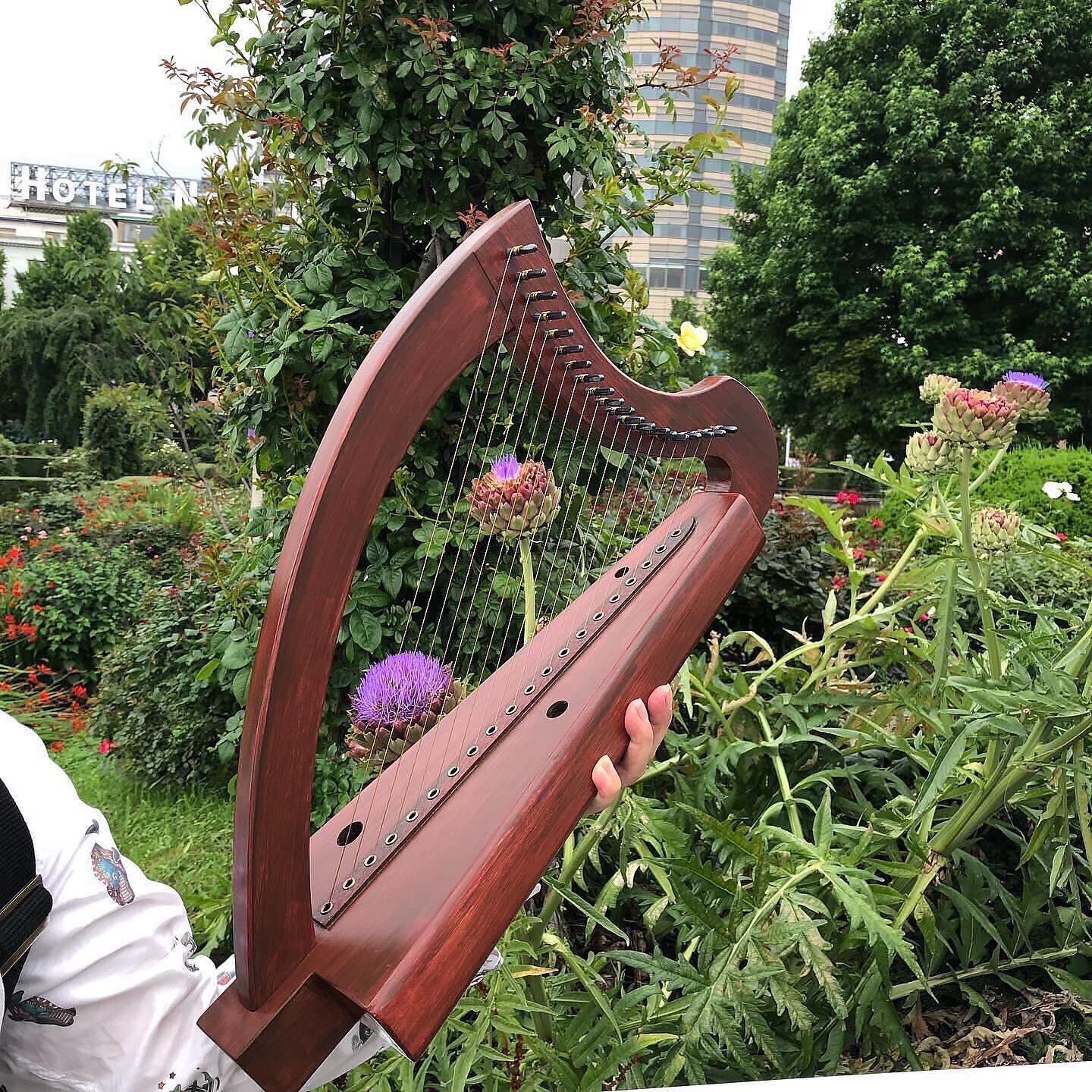 書籍】 増補改訂版『初学者のための金属弦ハープ教本 50の基礎練習と24