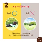 お写真の選び方