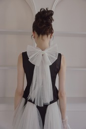 Back ribbon tulle dress