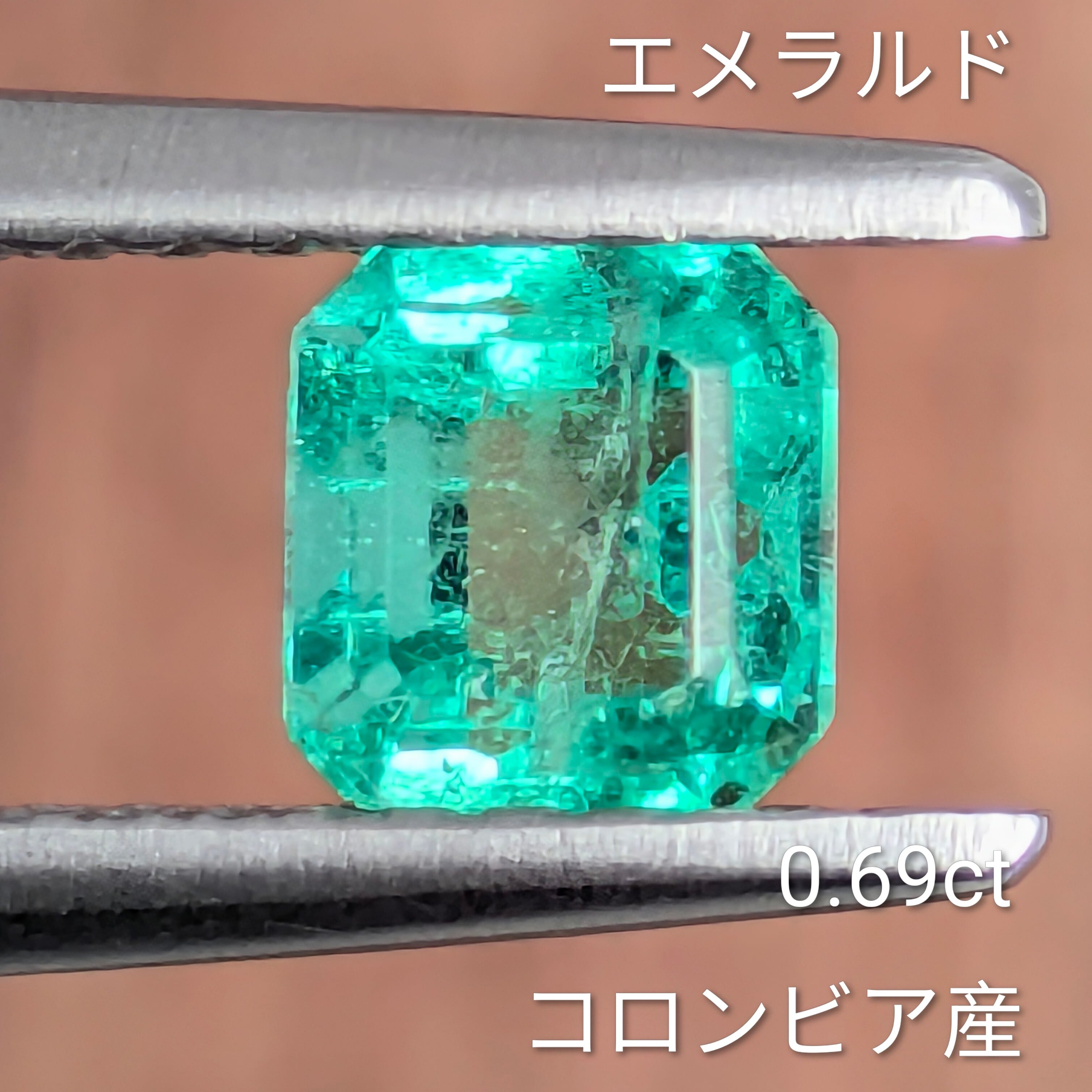 エメラルドルース コロンビア産【0.69ct】PRO208210 | Gem's Subculture