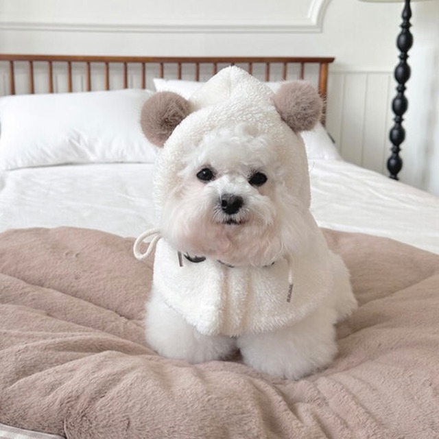 【予約】bear hood warmer(White)