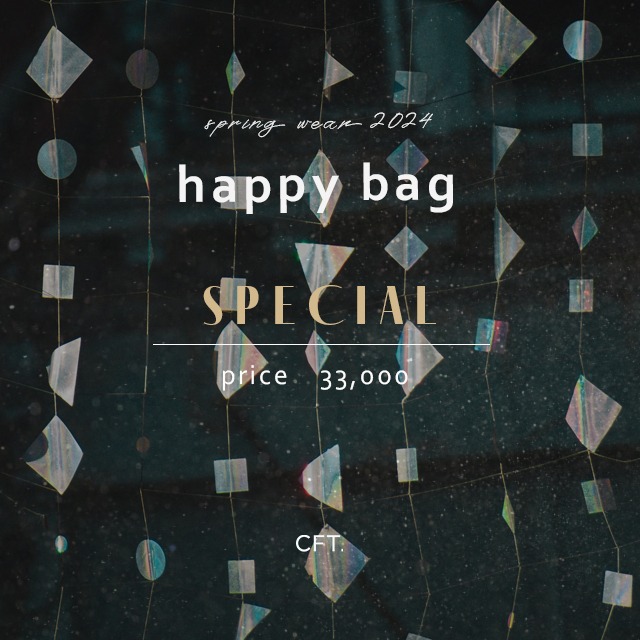 2024 spring [SPECIAL]  AKINA【￥33,000】/HAPPY BAG