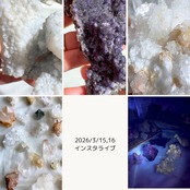 peoniesさま専用出品 3/15,16ライブ分