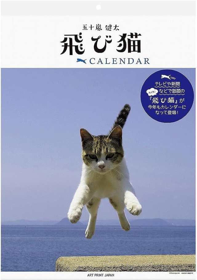 飛び猫カレンダー2024&日めくりカレンダーセット（送料無料）