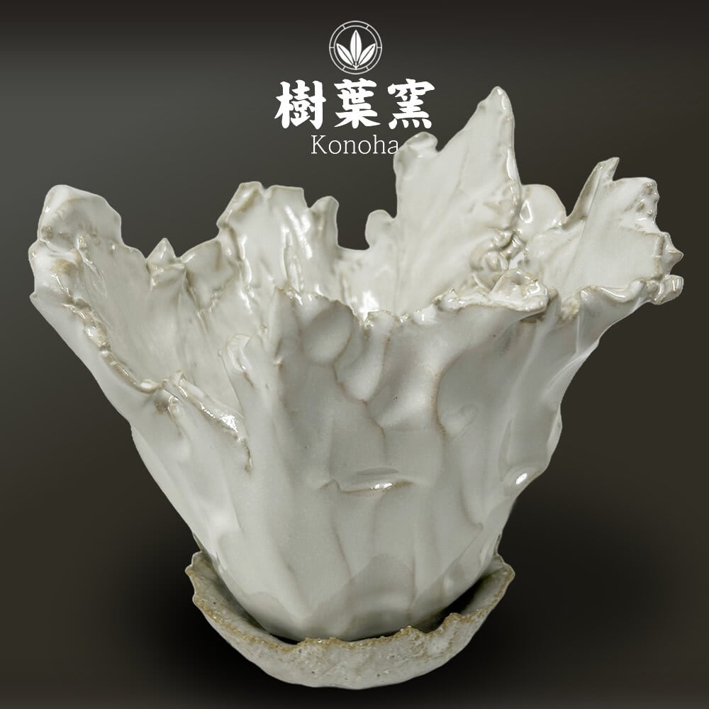 white grow tekka pot アート 植木鉢 白 綴化 鉢受け 付き | KONOHA