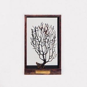 Botanical Frame D03 - Copper