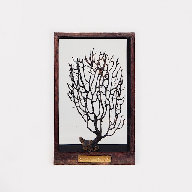 Botanical Frame D03 - Copper