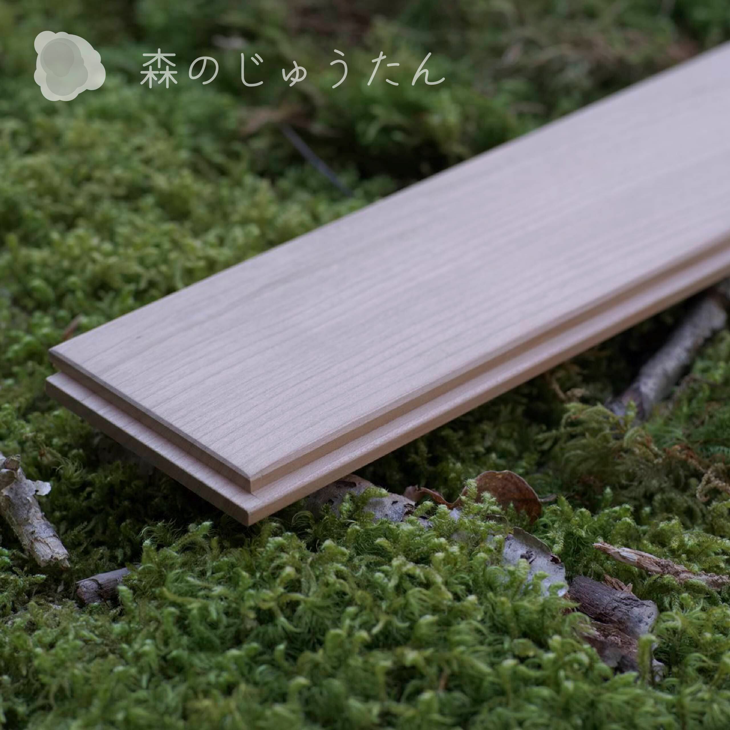 森のじゅうたん「山桜（YAMAZAKURA）ヤマザクラ」1㎡ | 飛騨高山ハード