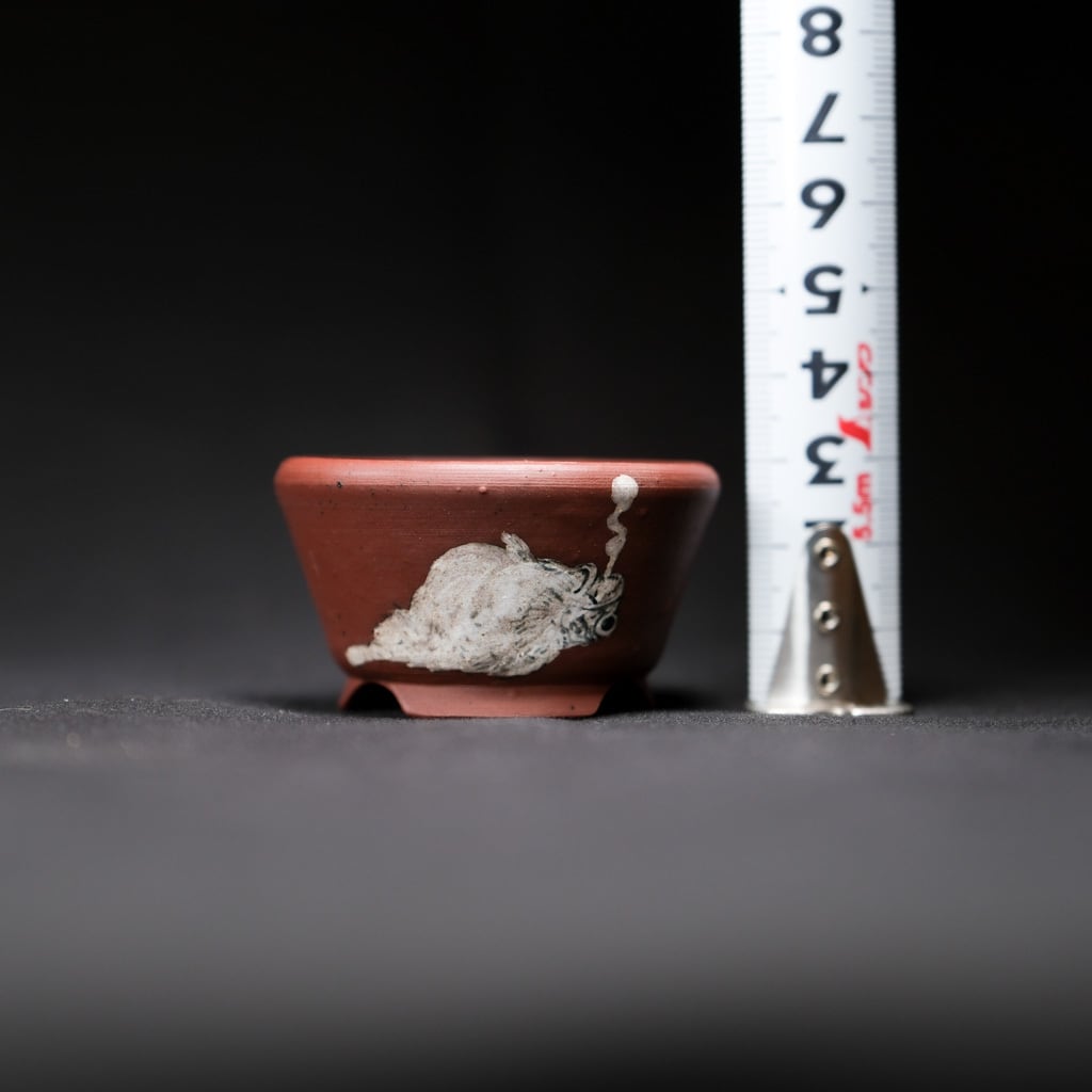 魂抜けた魚【Q鉢】 | bonsaiQ store