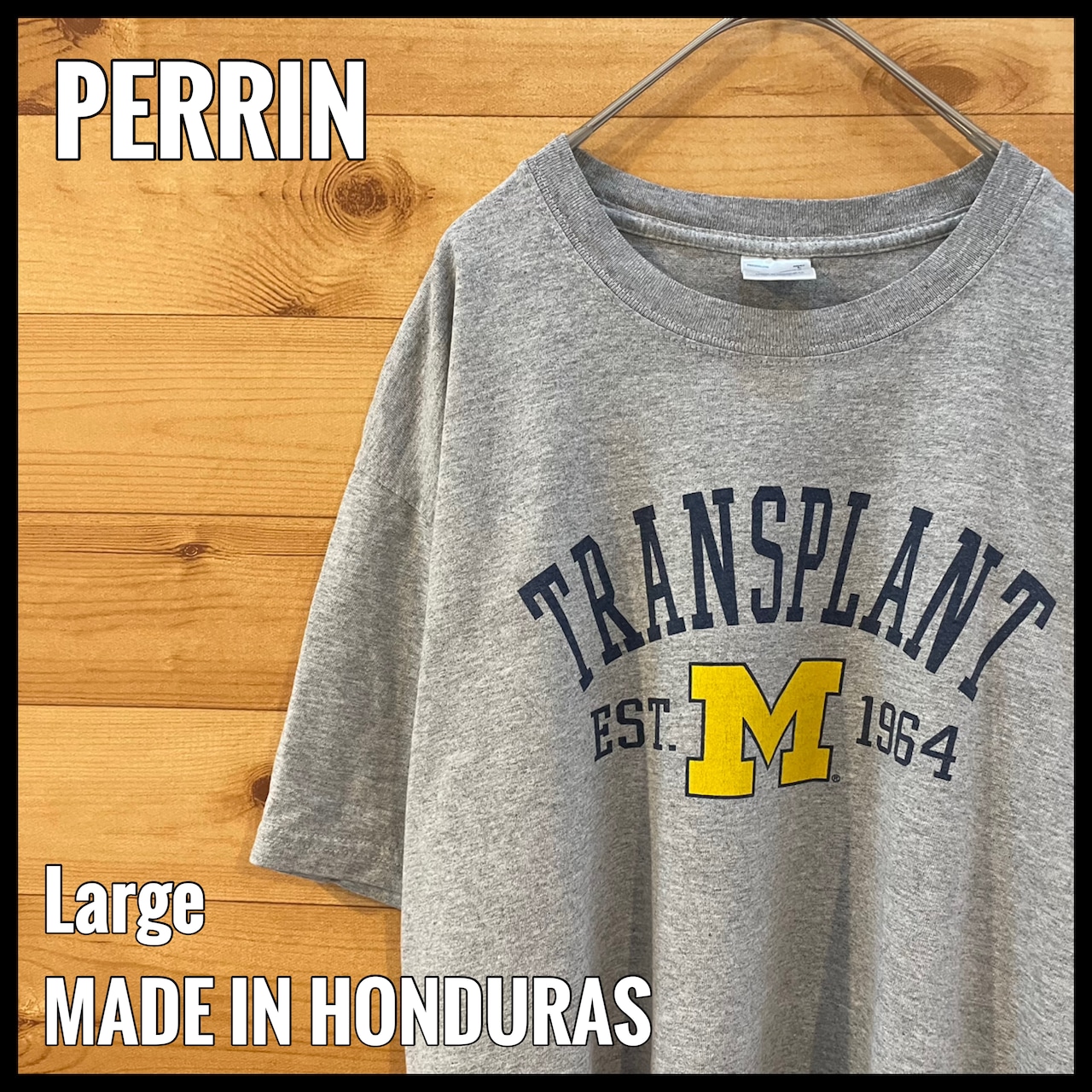 【PERRIN】カレッジ ミシガン大学 アーチロゴ Tシャツ University of Michigan Lサイズ US古着 アメリカ古着