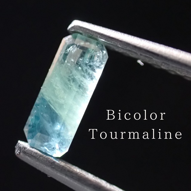 バイカラートルマリン 【1419】