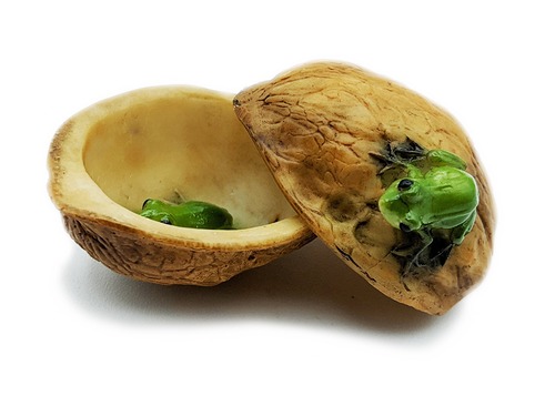 ミニカエルオブジェ　蛙inクルミ