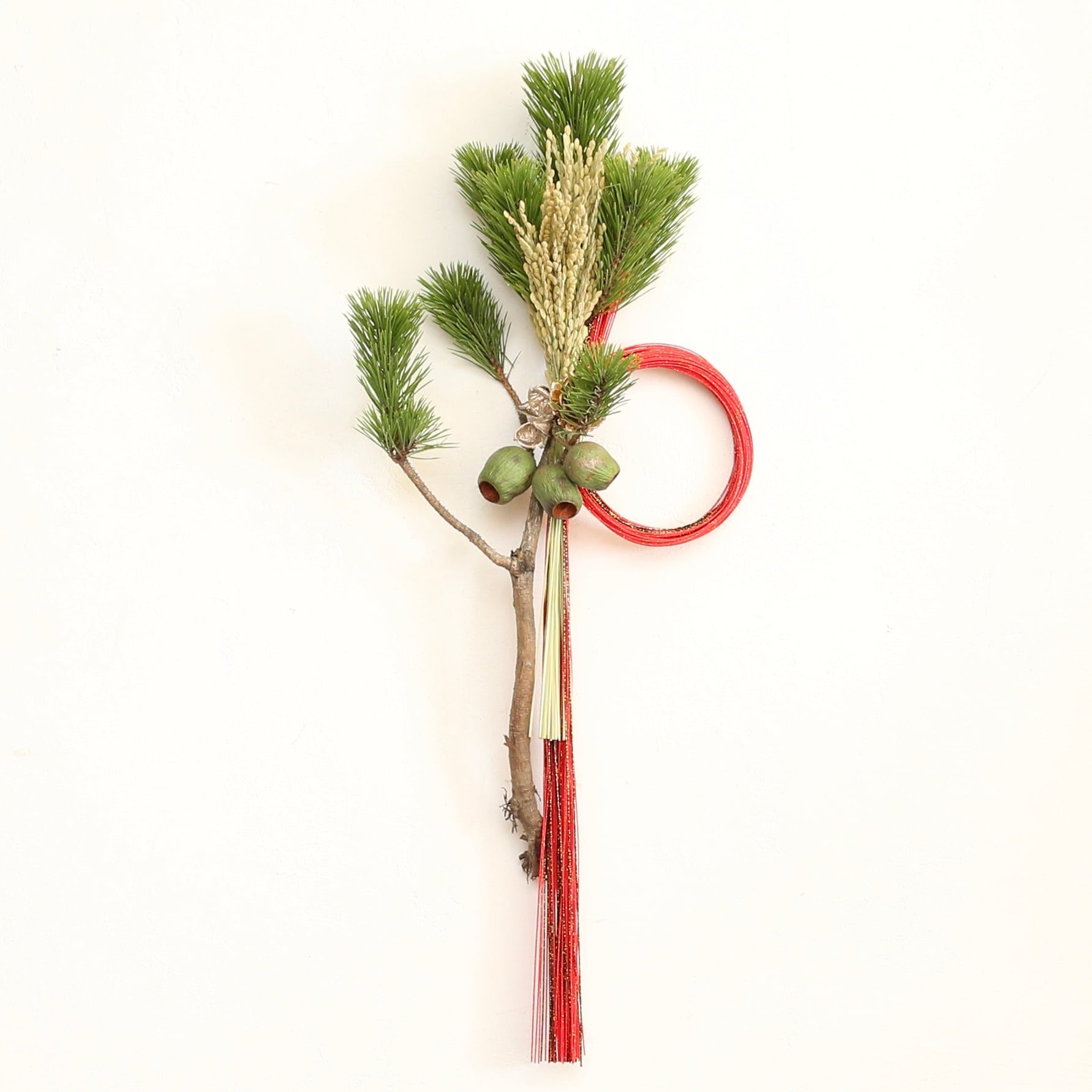 ad039116243562c8452092d0f9f762