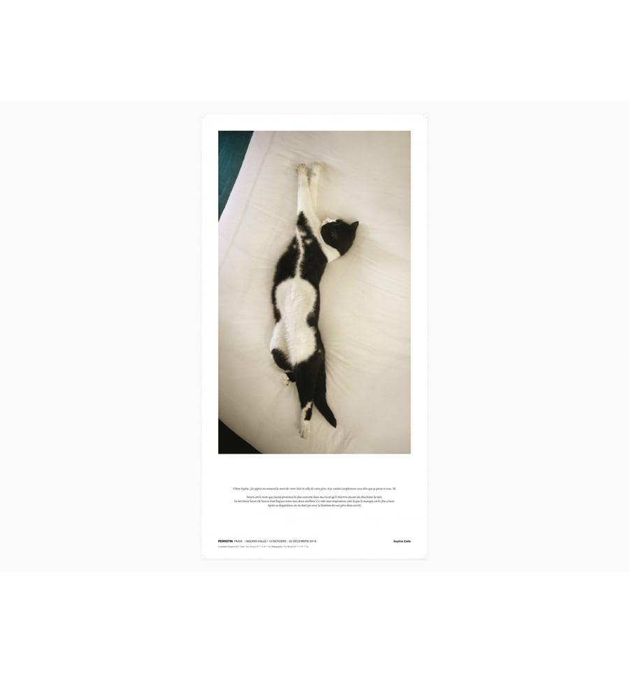Sophie Calle - Souris Calle 額、サイン、ナンバー付 額装済 :Sophie Calle - Souris Calle signed and numbered | PERROTIN