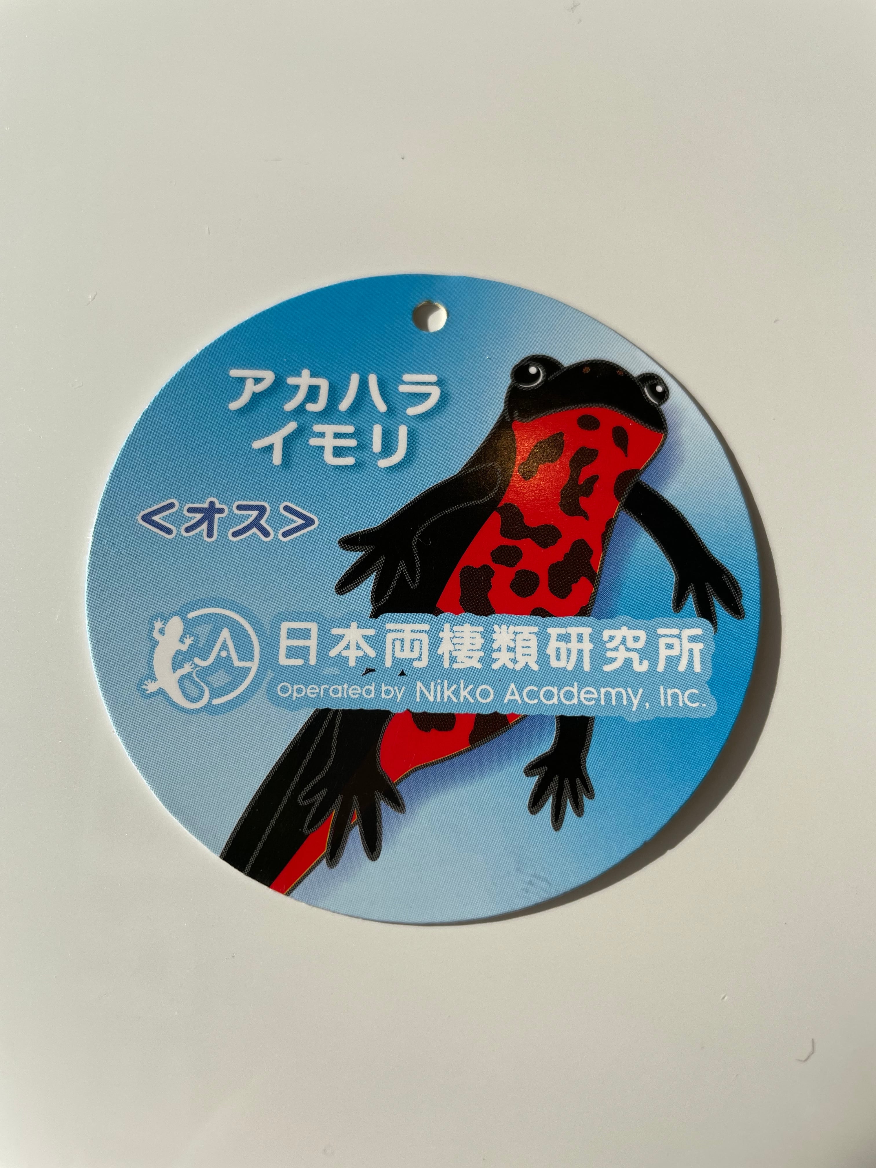 大人気 アカハライモリ オス ぬいぐるみ | 日本両棲類研究所