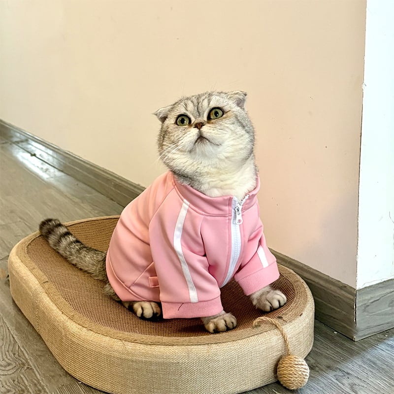  Mサイズ　犬服・猫服 ピンク ペット用 コスプレ衣装 猫服 犬服 ぼっち・ざ・ろっく! 風 後藤ひとり