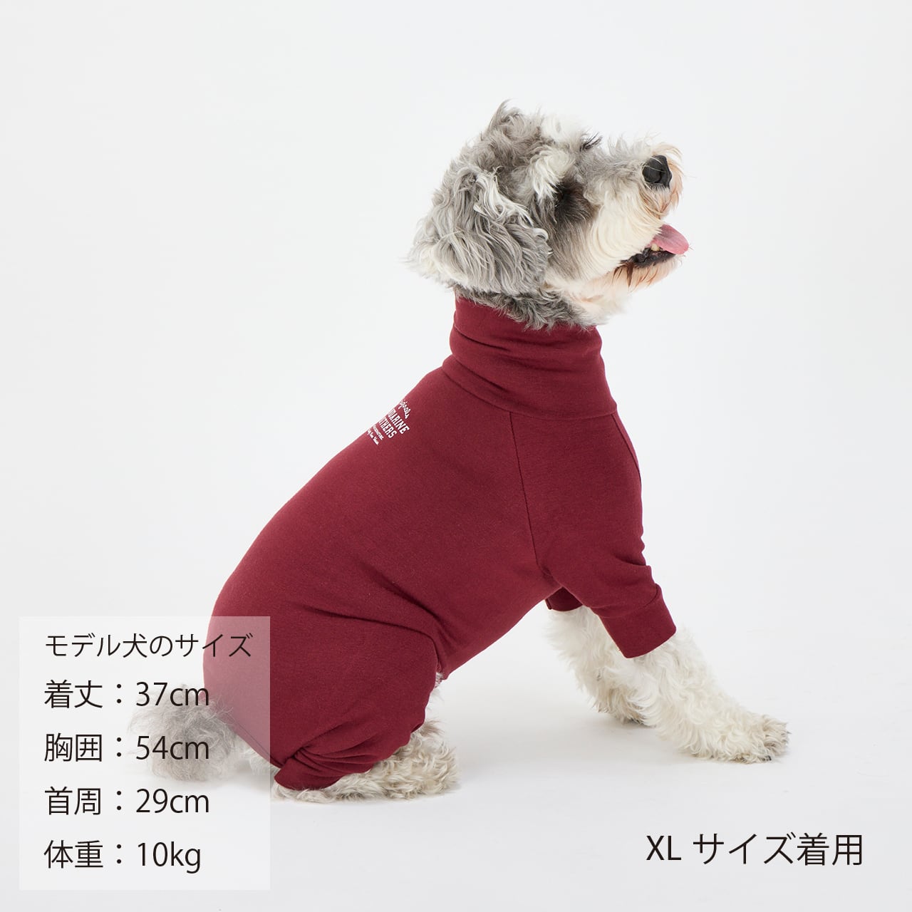 SKIN TIGHT SUIT（XL.XLB.XXL）スキンタイトスーツ | MANDARINE