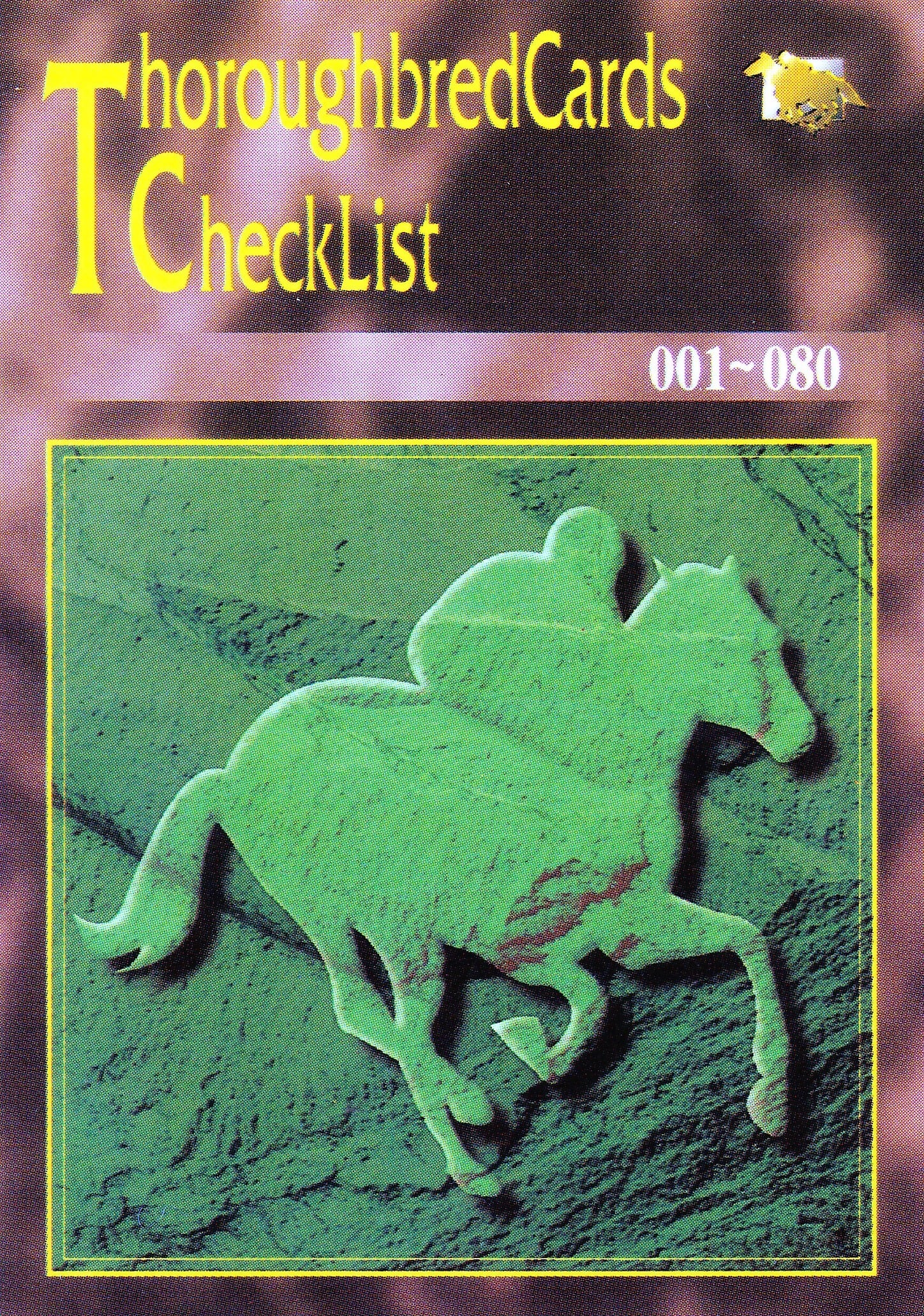 【BEN様】/thoroughbredサラブレットマスタード/巾着Lサイズショ チェックリストNo.1「サラブレッドカード 97年下半期版」No.198