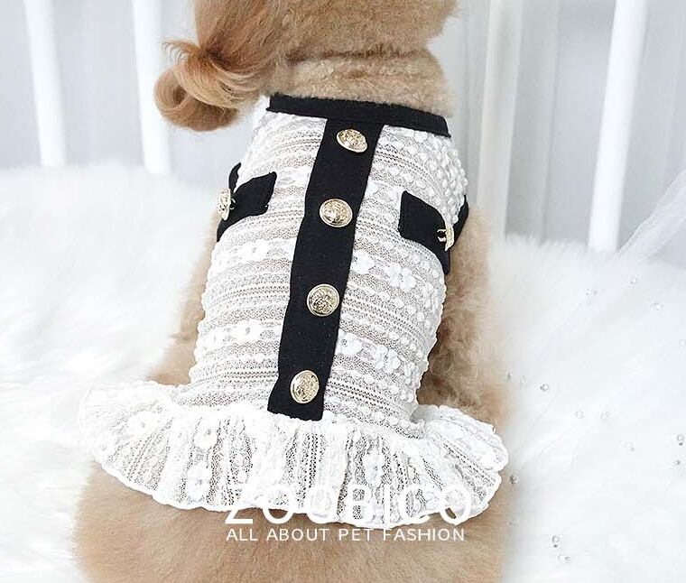 【SALE】cha see-through crop top XS ~ XL 2color / 犬服 春夏 新作 Tシャツ ドッグウェア ショート丈 シースルー 袖なし 小型犬 中型犬 クロップドトップス 涼しい お揃い シンプル