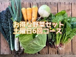 4/6(土)より隔週土曜お届け!野菜セット(6回コース)