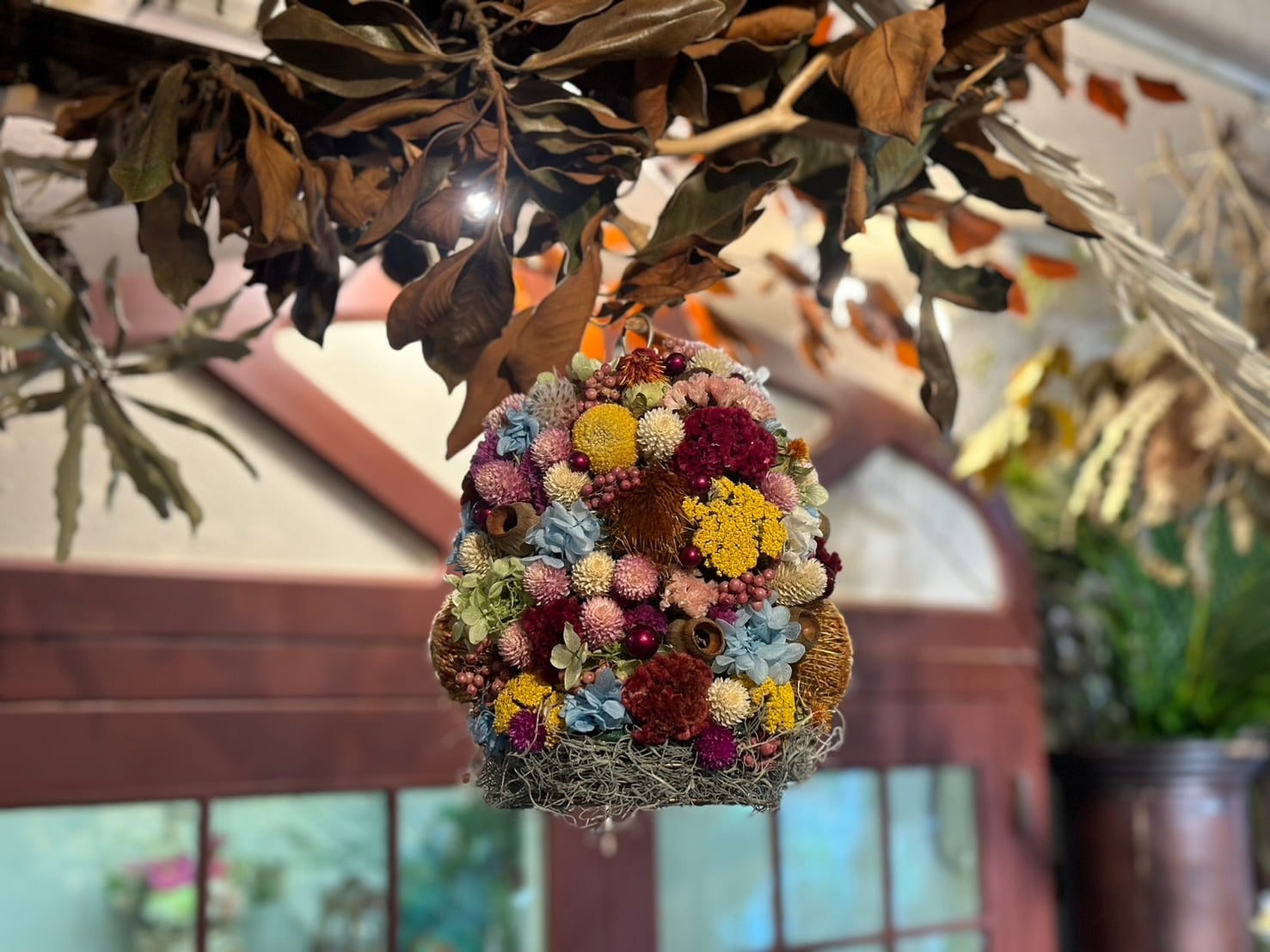 ドライフラワー★アレンジメント★グレビレア　ニゲラ　ストロベリーフィールド　癒し ネイティブフラワー ドライフラワー】グレビレア ゴールドリーフ