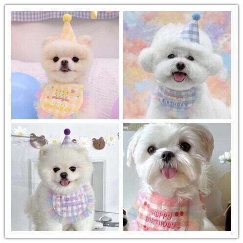 《予約》210939 おたんじょうびハッピーセット