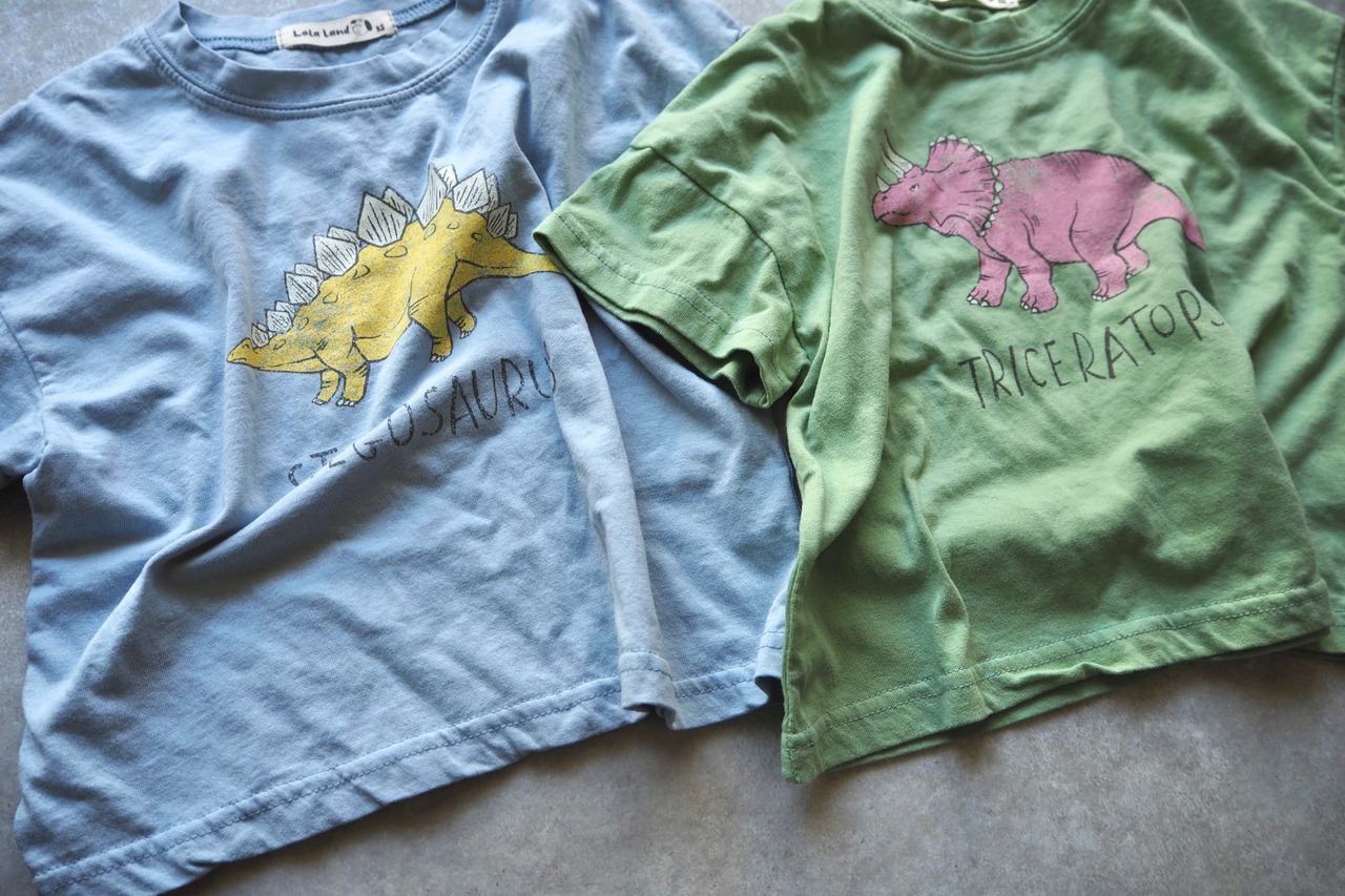 【lala land】恐竜 Dinosaur Tシャツ - 2