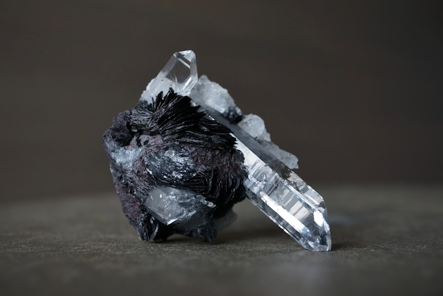 アイアンローズ/クォーツ Iron Rose/Quartz 1910