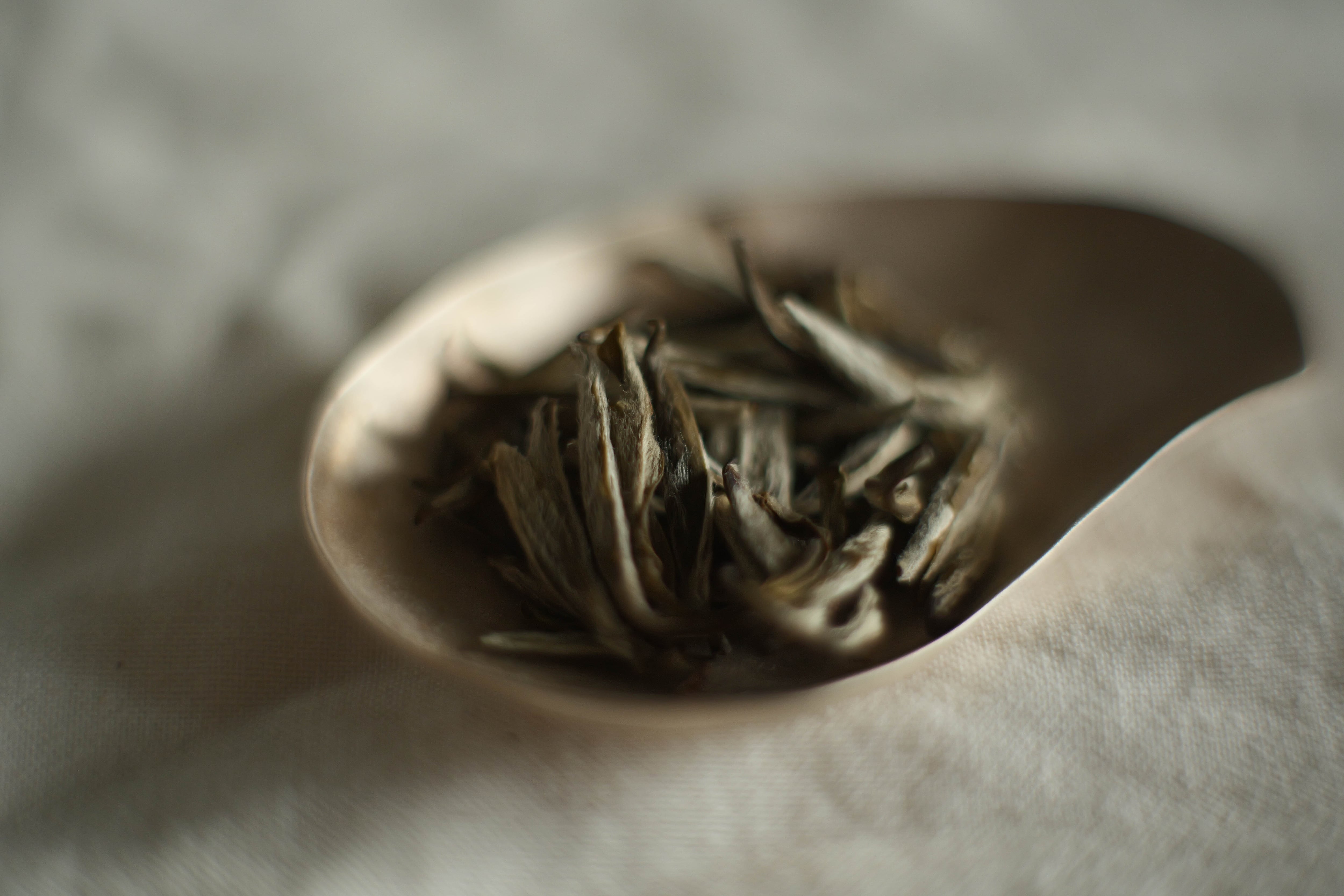 九窨針王・福州産超高級ジャスミン茶 50g (2024年産) | 北白川糕糰店