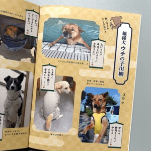 ZASSHU vol.4
