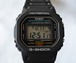 CASIO DW-5600