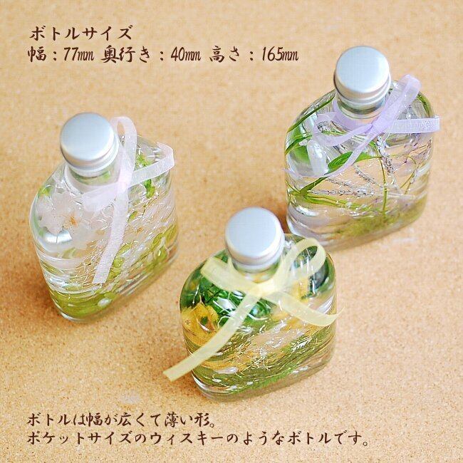送料無料 ミモザのハーバリウム 200ml ホワイトデーやお誕生日に